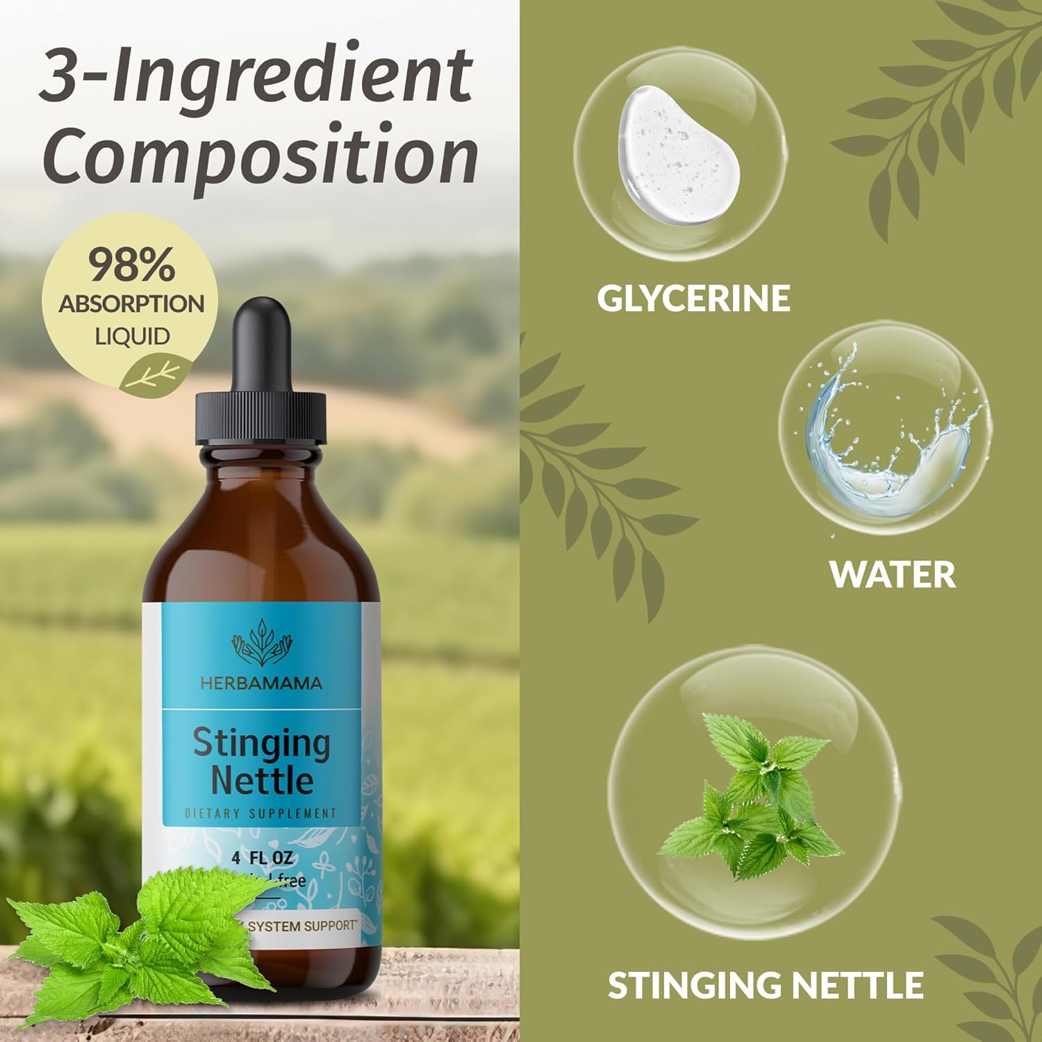 Stinging Nettle & Dandelion Root Herbal Liquid Drops Bundle - 4 fl oz Vegan Tinctures - Non-GMO, Sugar & Alcohol-Free - 2 Pack