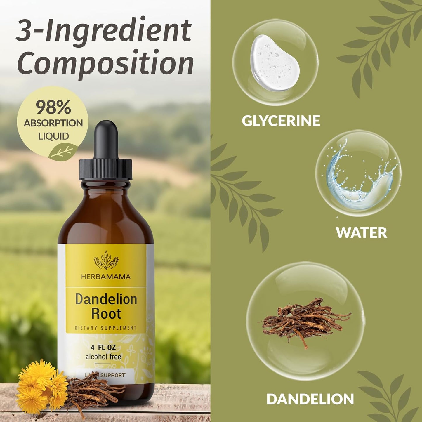 Stinging Nettle & Dandelion Root Herbal Liquid Drops Bundle - 4 fl oz Vegan Tinctures - Non-GMO, Sugar & Alcohol-Free - 2 Pack