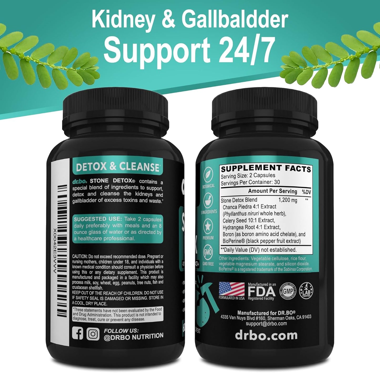 Stone Breaker Capsules with Chanca Piedra for Kidney Cleanse & Gallbladder Detox - Natural Formula to Dissolve Gallstones & Kidney Stones - 60 Pills
