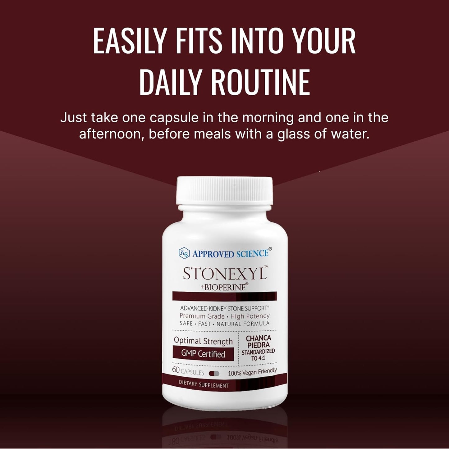 Stonexyl Kidney Stone Support Capsules - 60 Count - Chanca Piedra - High Absorption - Vegan Formula - 30 Day Supply