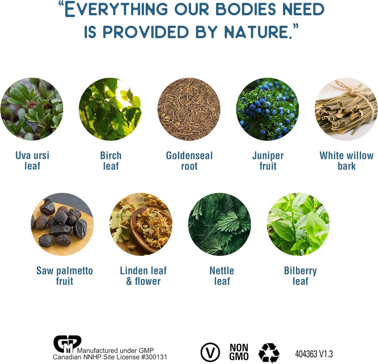 Strauss Naturals Prostate Drops - Men's Prostate Supplement for Urologic Support - Gluten/Soy/Non-GMO - 225ml