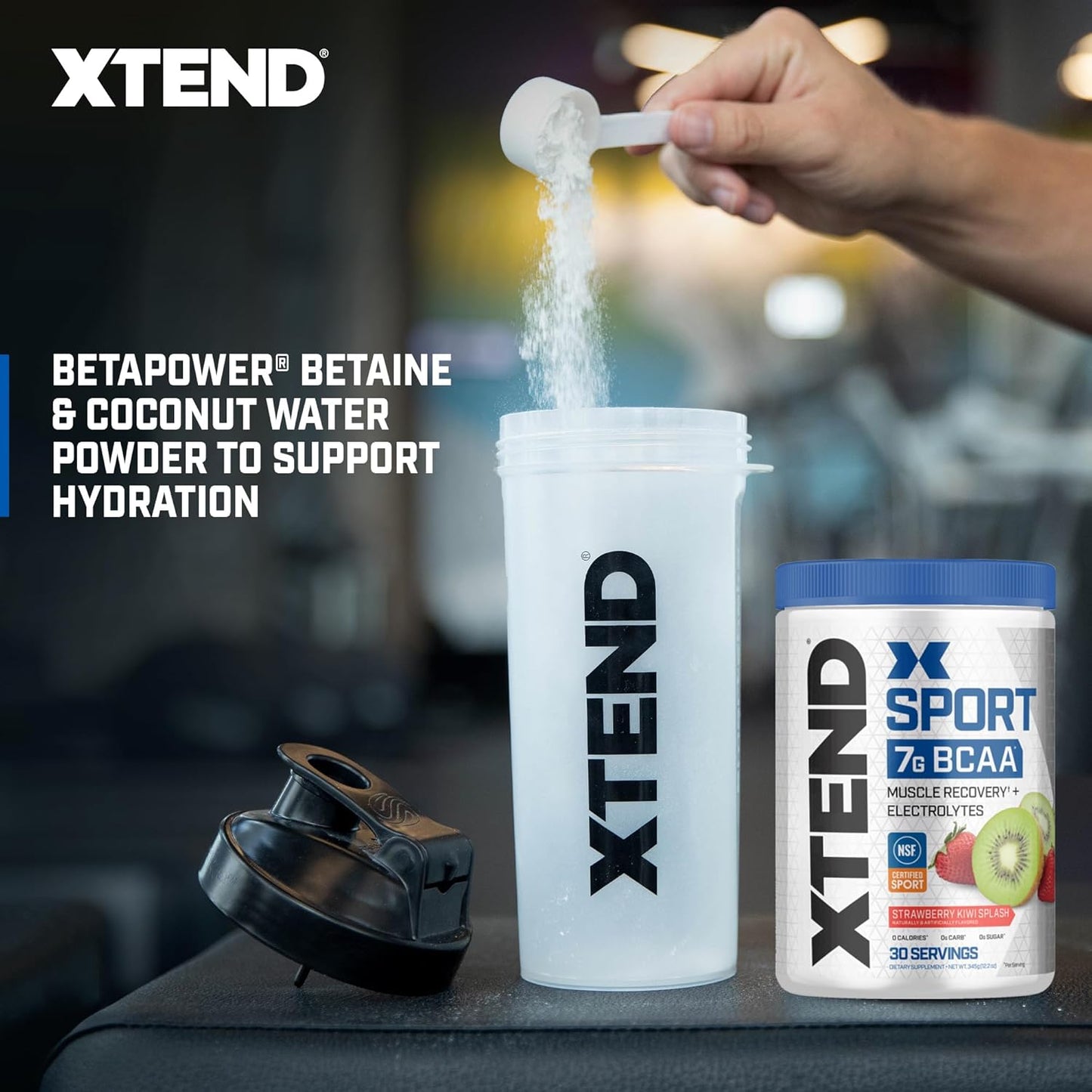 Strawberry Kiwi Splash BCAA Powder - Electrolyte & Amino Acid Recovery - 30 Servings
