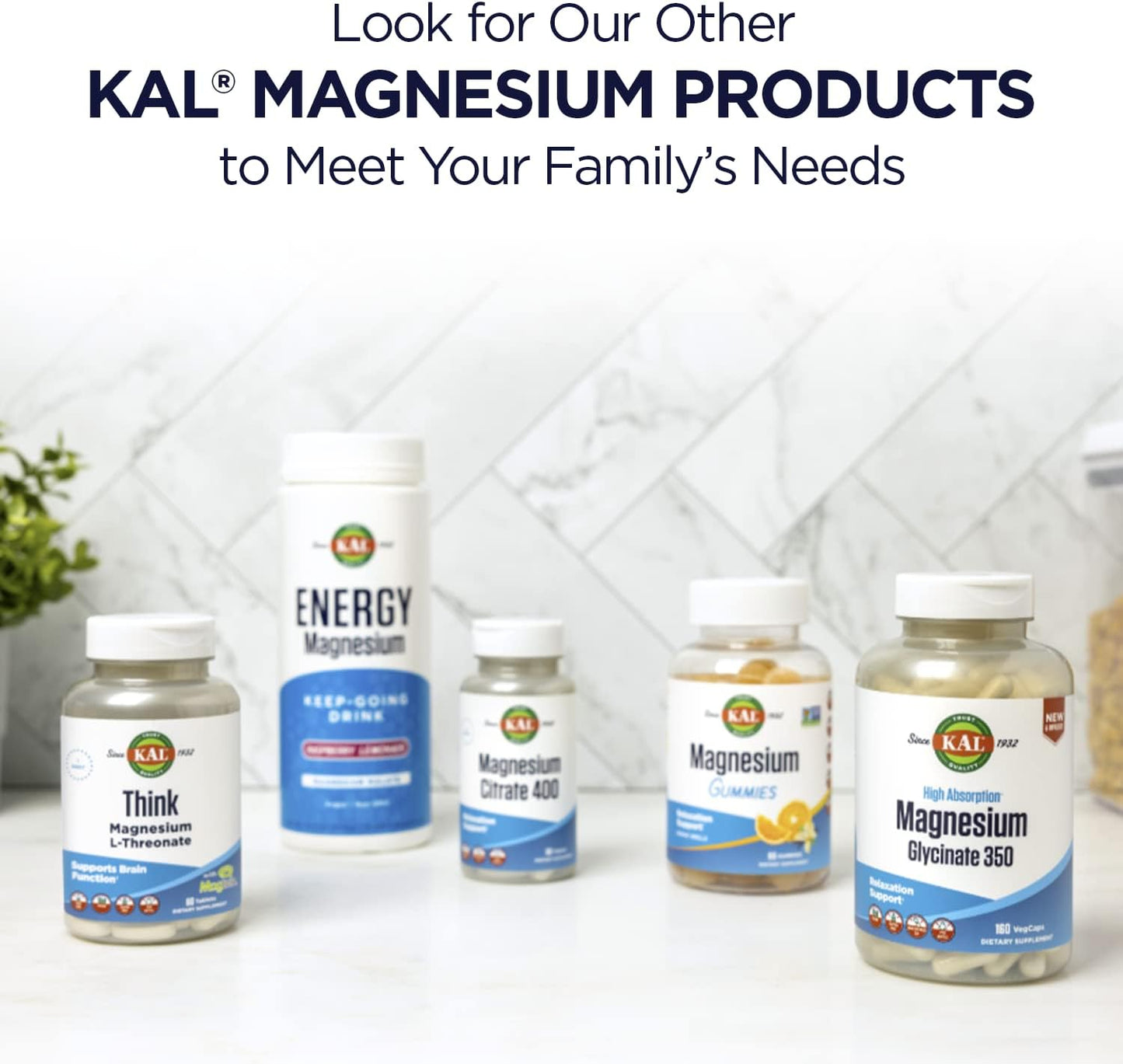 Stress B Complex with Magnesium, Active B Vitamins, Coenzyme B-6, Methylcobalamin, Folate, Mood & Relaxation Support, 60 VegCaps