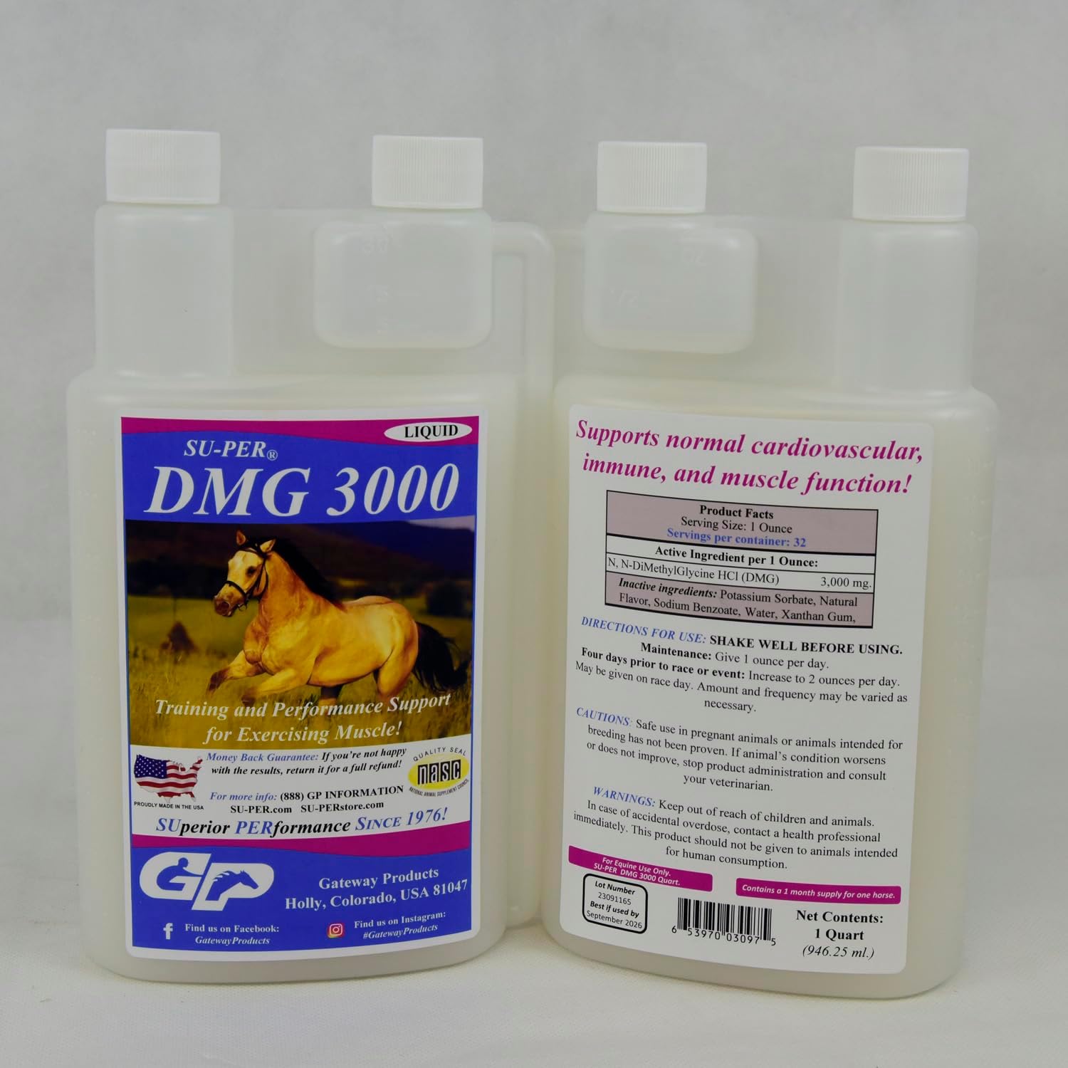 SU-PER DMG 3000 Horse Supplement - Liquid for Training & Performance - Supports Cardiovascular, Immune, & Muscle Function - 1 Quart, (2 Pack)