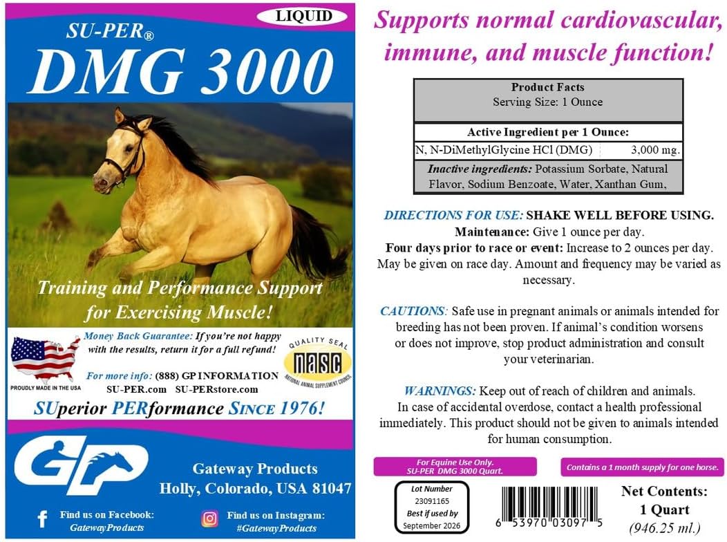 SU-PER DMG 3000 Horse Supplement - Liquid for Training & Performance - Supports Cardiovascular, Immune, & Muscle Function - 1 Quart, (2 Pack)