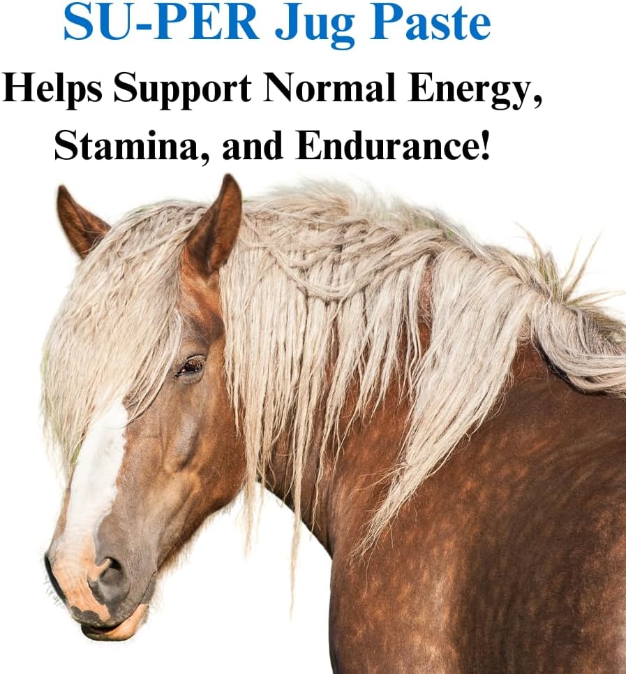 SU-PER Jug Paste for Performance Horses - Enhances Energy, Stamina, and Performance - Horse Supplement with Vitamins, Minerals, Amino Acids, and Electrolytes - 80 CC, Pack of 2