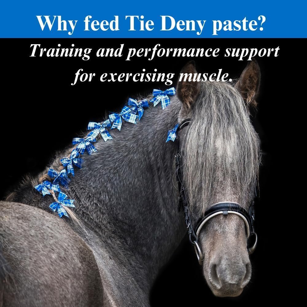 SU-PER Tie Deny Paste for Horses - Energy Supplement to Support Muscle Function, Circulation, Oxygen Uptake, & Fatigue Delay - 30CC, (2 Pack)