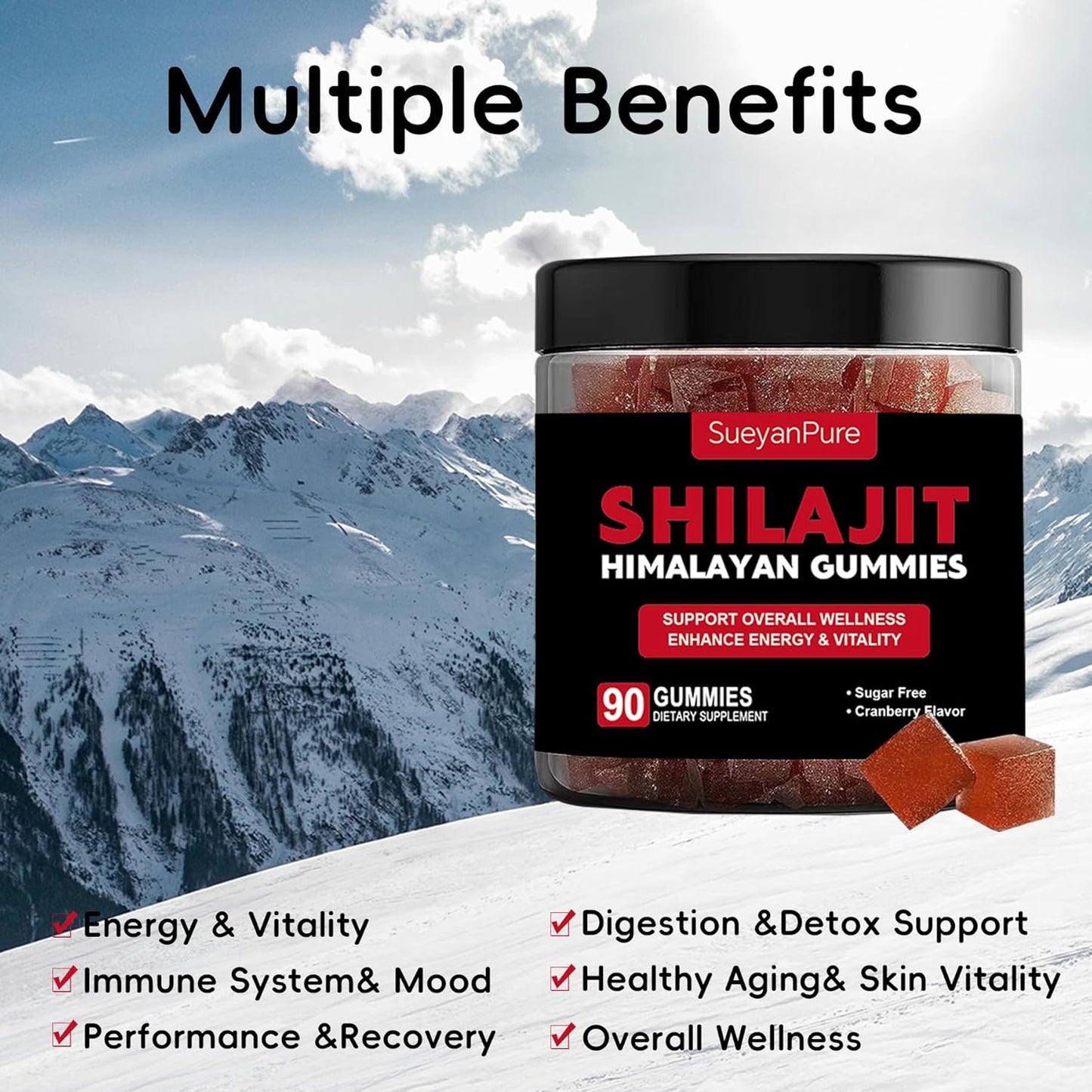SueyanPure Himalayan Shilajit Gummies with Ashwagandha & Black Seed Oil - Cognitive & Mood Support, Immunity Boost, Energy - 90 Gummies