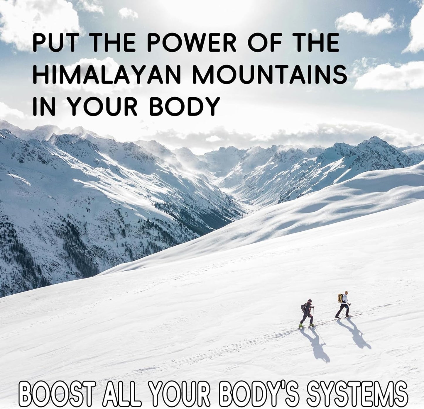 SueyanPure Himalayan Shilajit Gummies with Ashwagandha & Black Seed Oil - Cognitive & Mood Support, Immunity Boost, Energy - 90 Gummies