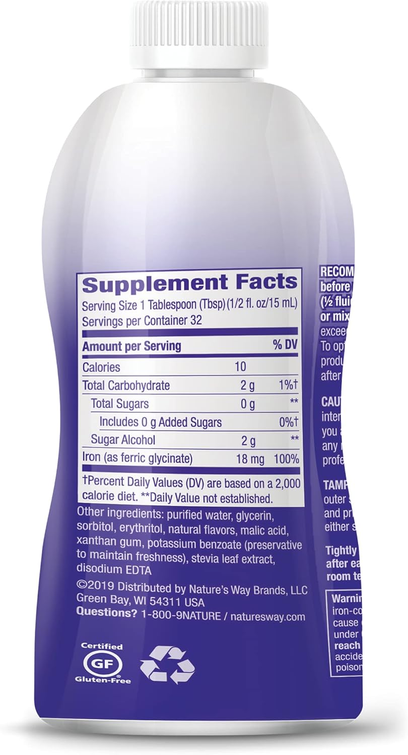 Sugar-Free Berry Flavored Liquid Iron Supplement - Daily Iron Value - 16 Fl. Oz. (Pack of 2) by Nature's Way