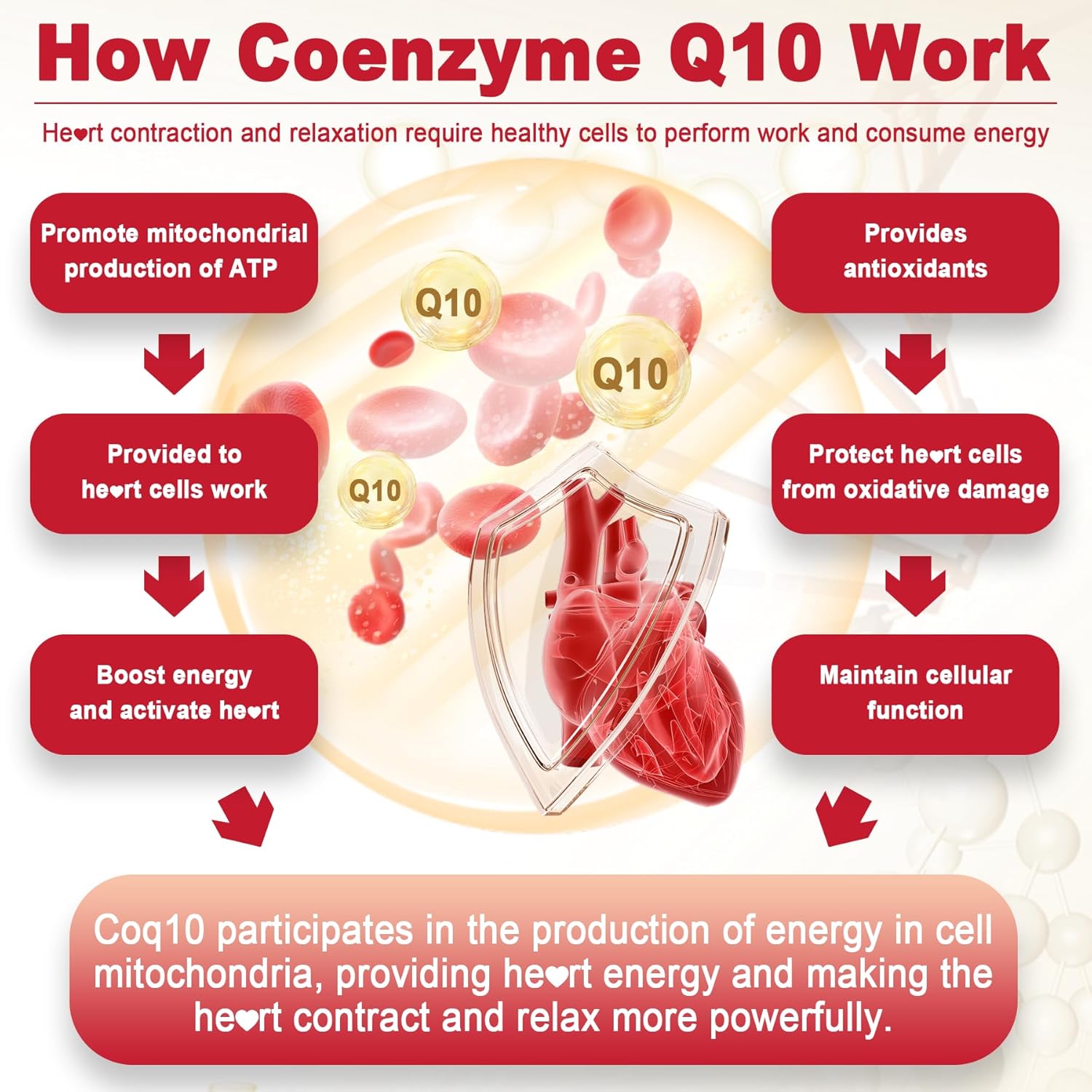 Sugar-Free CoQ10 Gummies with Magnesium Glycinate, Niacin, Vitamin E & Folic Acid - 120 Count, 250MG - High Absorption for Cellular Energy & Antioxidant Support