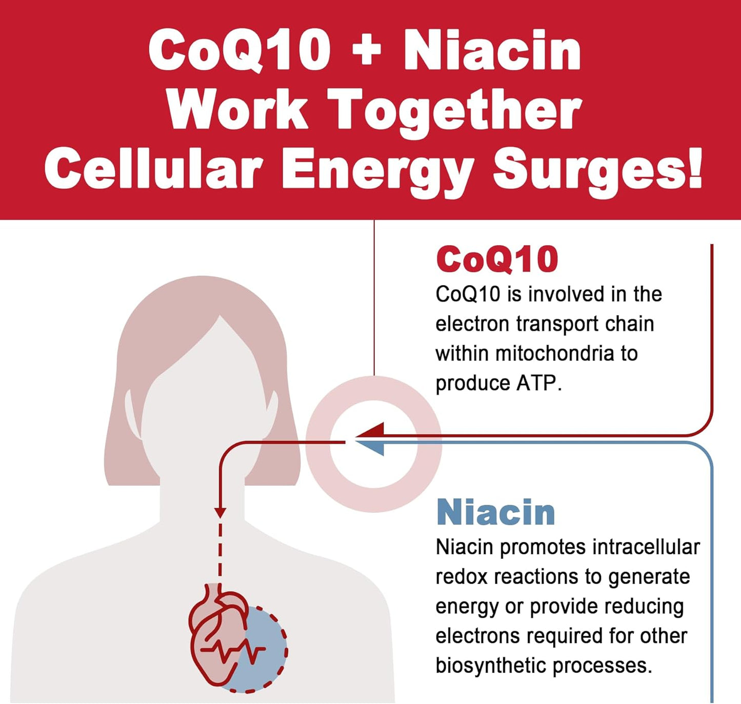 Sugar-Free CoQ10 Gummies with Magnesium Glycinate, Niacin, Vitamin E & Folic Acid - 120 Count, 250MG - High Absorption for Cellular Energy & Antioxidant Support