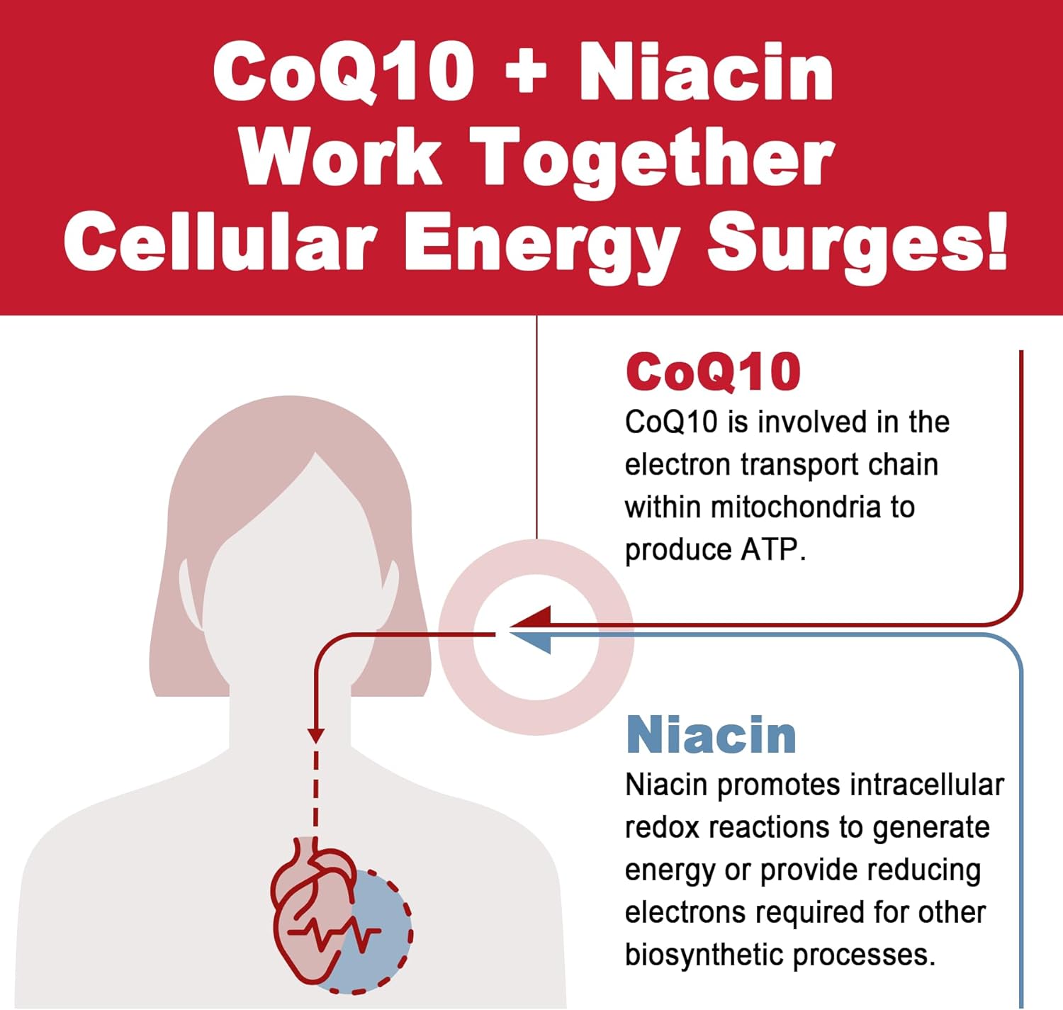 Sugar-Free CoQ10 Gummies with Magnesium Glycinate, Niacin, Vitamin E & Folic Acid - 120 Count, 250MG - High Absorption for Cellular Energy & Antioxidant Support
