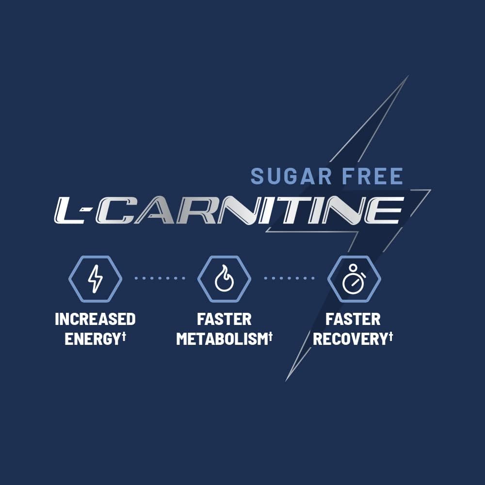 Sugar-Free L-Carnitine Gummies 500mg - Natural Pre Workout Supplement for Energy, Recovery, Metabolism Boost - Blueberry Flavor - 60 Gummies
