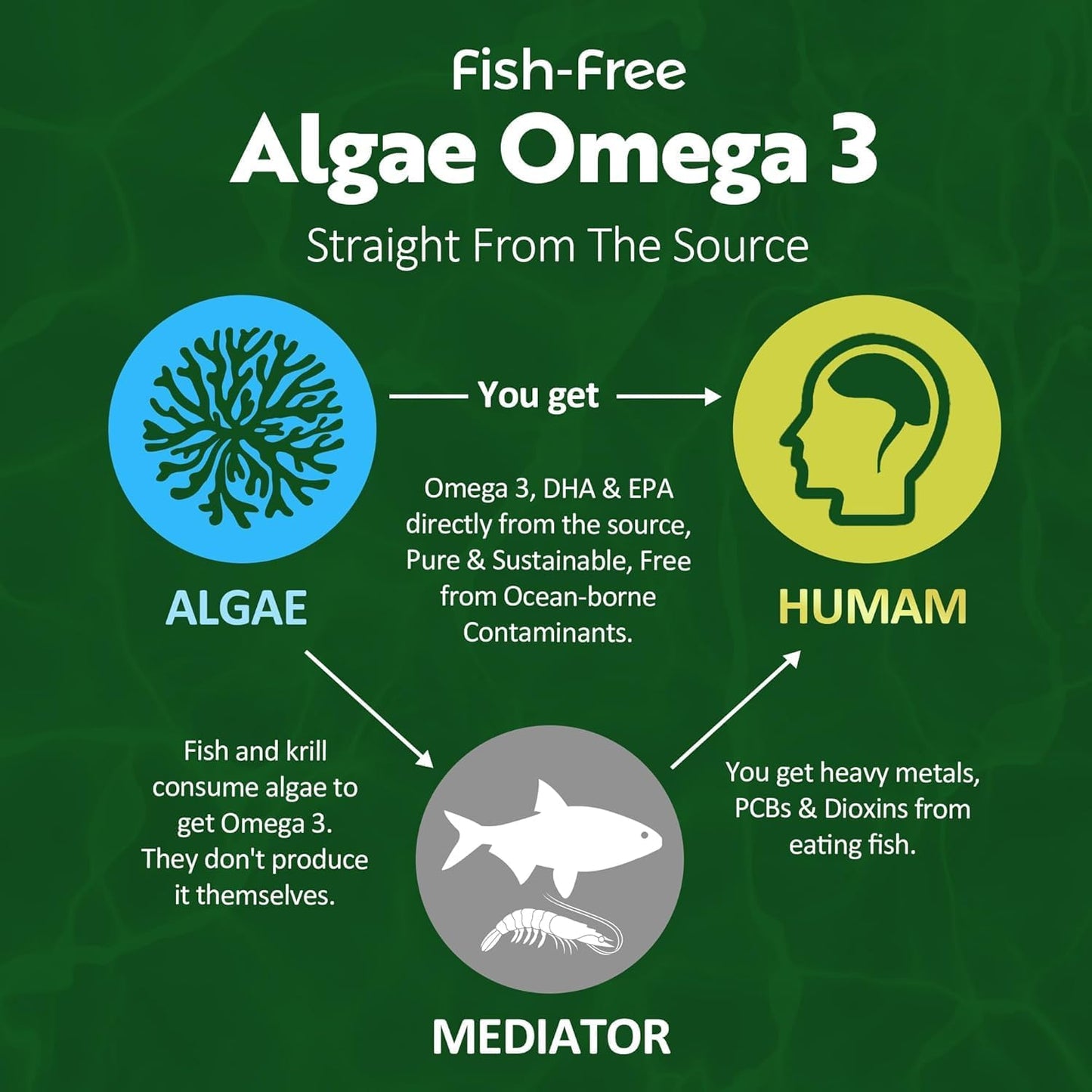 Sugar-Free Vegan Omega 3 Gummies with Astaxanthin, DHA, EPA, and Vitamin D3 - Fish-Free Algae Omega 3 Supplement for Adults & Kids - 1000mg, 60 Count