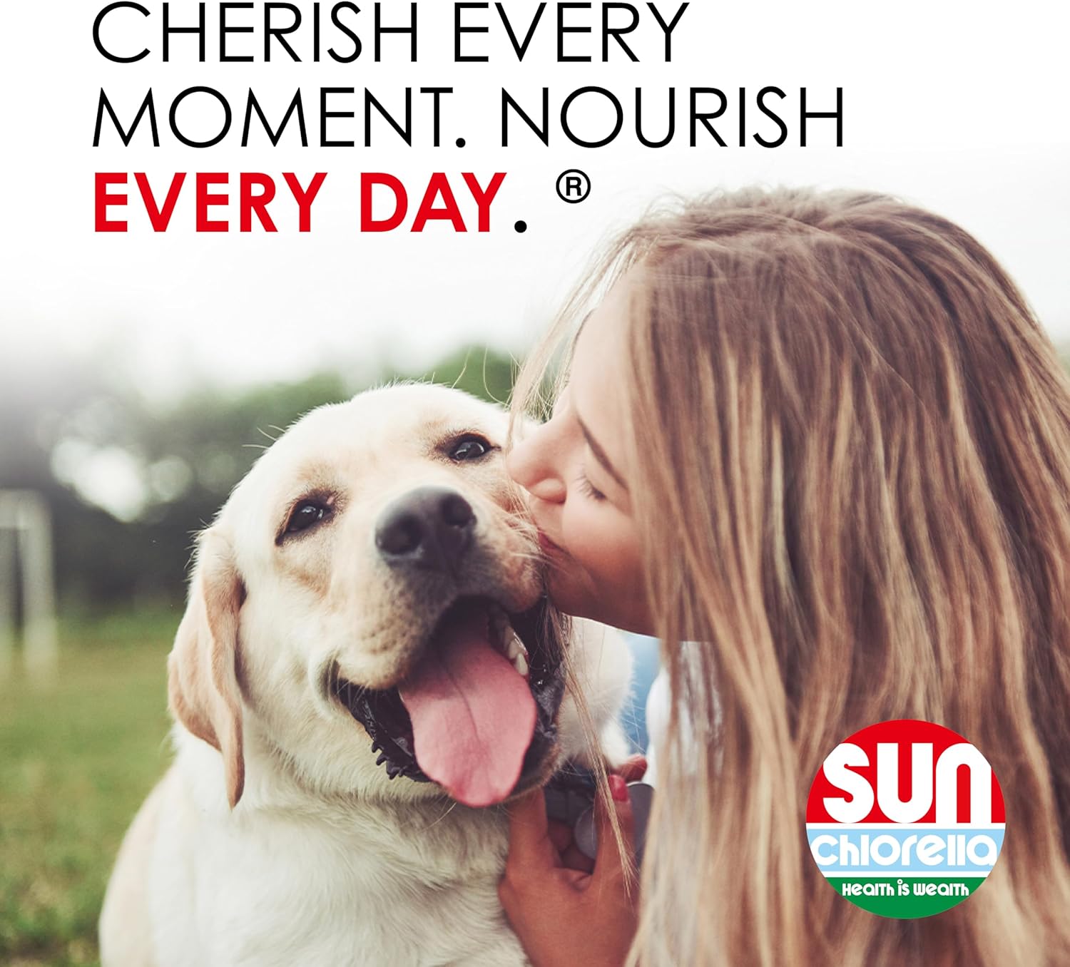 Sun Chlorella Sun Pet Treats: Green Superfood Supplement for Dogs & Cats - Immune Defense, Skin & Gut Health - 120 Bites