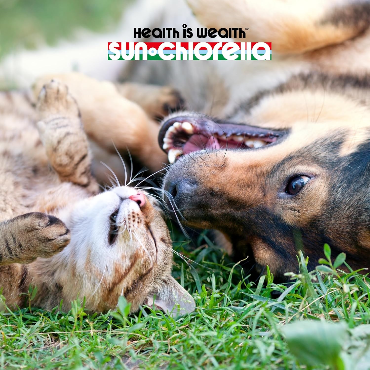 Sun Chlorella Sun Pet Treats: Green Superfood Supplement for Dogs & Cats - Immune Defense, Skin & Gut Health - 120 Bites