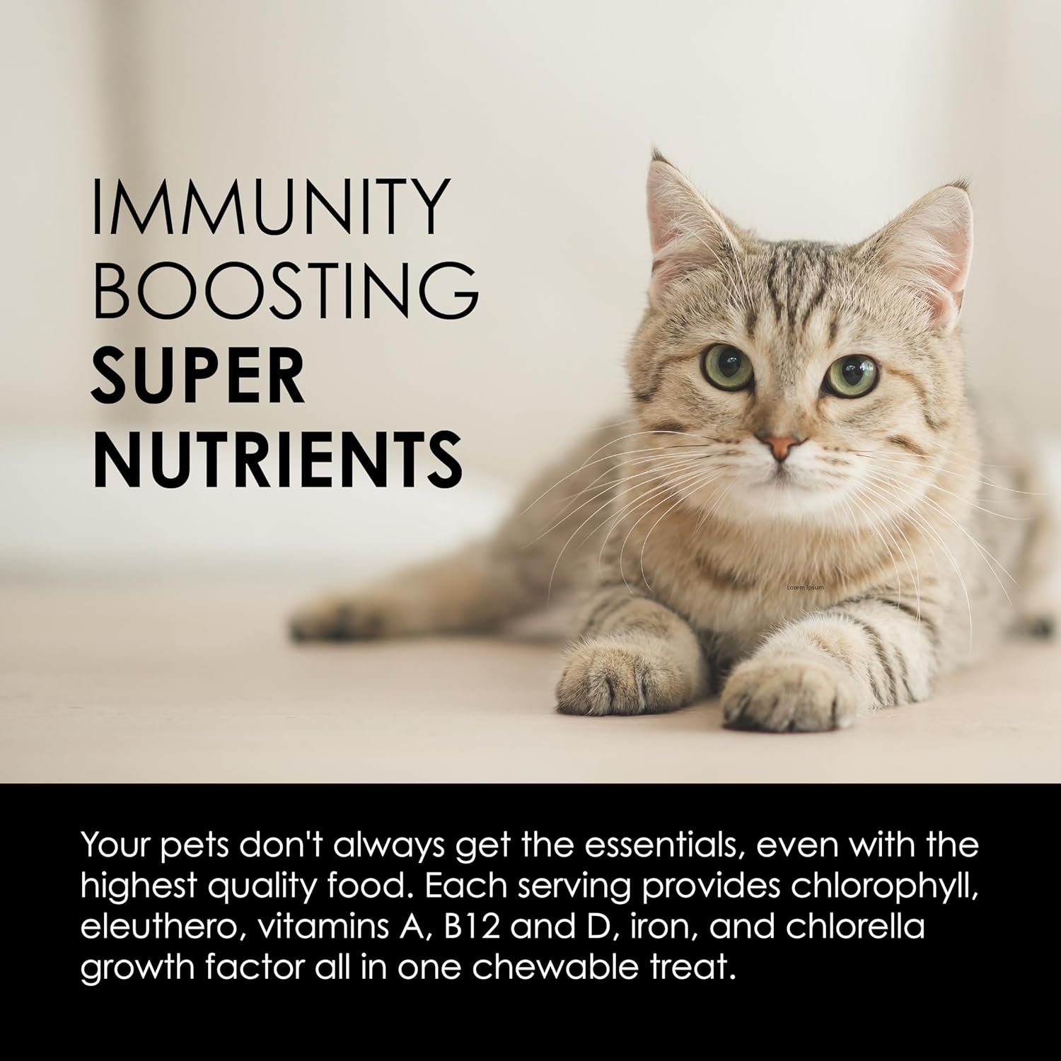 Sun Chlorella Sun Pet Treats: Green Superfood Supplement for Dogs & Cats - Immune Defense, Skin & Gut Health - 120 Bites