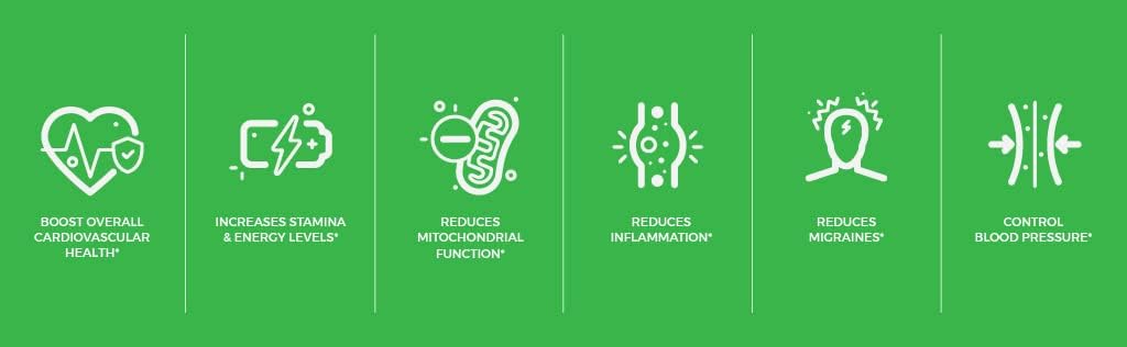 Sundhed Natural CoQ10 + Resveratrol Capsules - Powerful Antioxidant Supplement