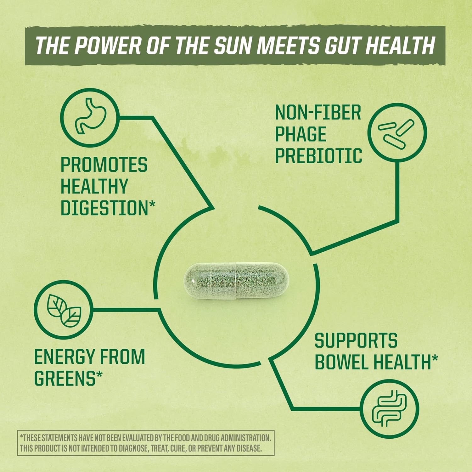 Sunwarrior Soil-Based Vegan Probiotic Capsules | 10 Billion CFU for Digestion | Soy, Gluten, Dairy Free | 30 Count