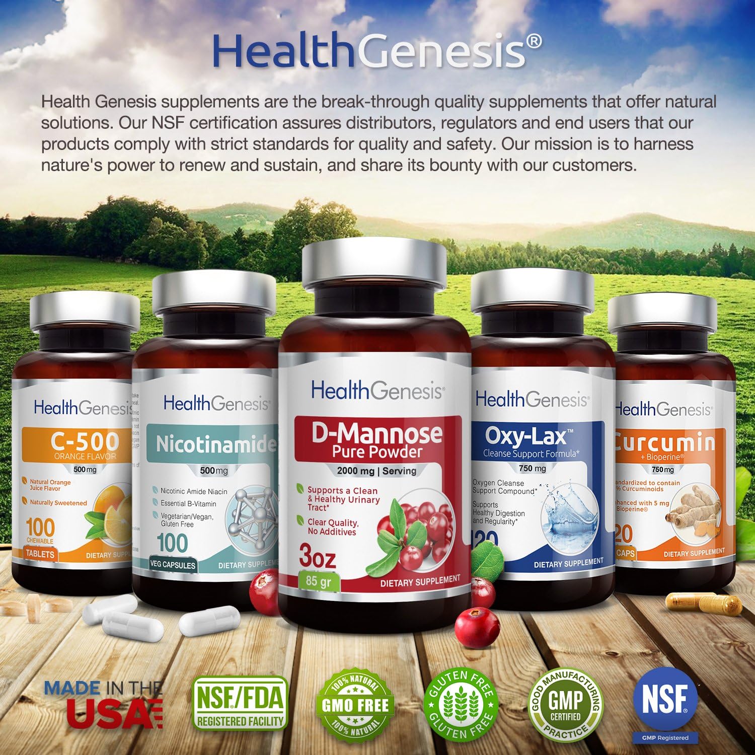 Super B-15 Health Genesis 100 Vcaps x 2 Pack - Niacin Calcium Choline Inositol DMG TMG - Enhances Oxygen Energy Levels
