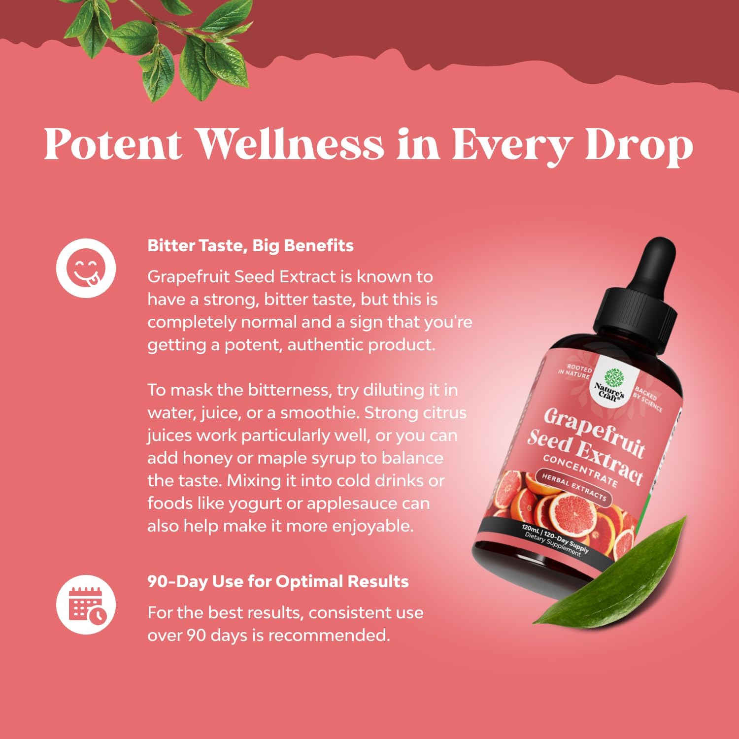 Super Concentrated GSE Grapefruit Seed Extract Liquid - Rich in Bioflavonoids & Polyphenols for Digestive Health and Immune Support - Vegan Non-GMO & Alcohol-Free - 4 Fl Oz