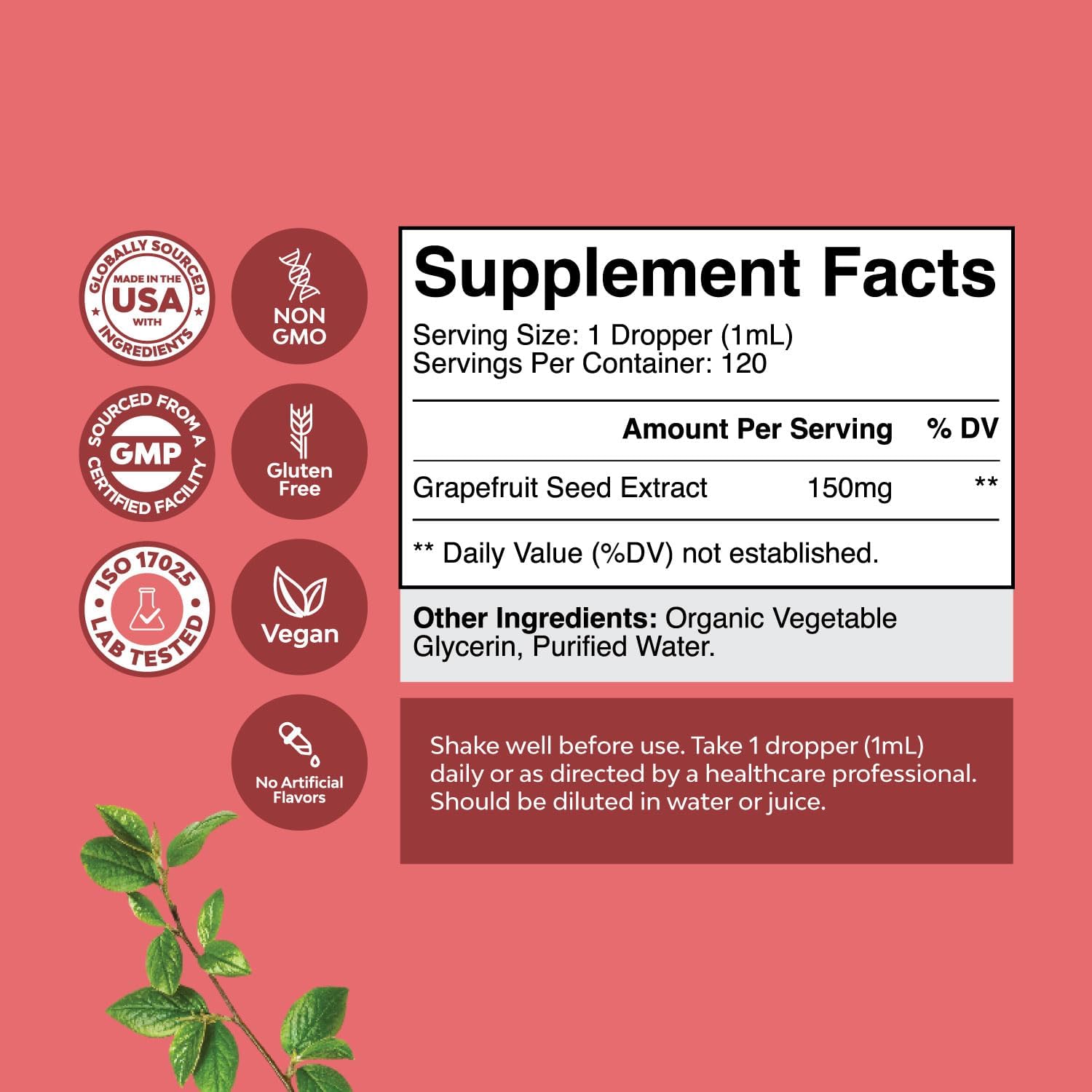 Super Concentrated GSE Grapefruit Seed Extract Liquid - Rich in Bioflavonoids & Polyphenols for Digestive Health and Immune Support - Vegan Non-GMO & Alcohol-Free - 4 Fl Oz