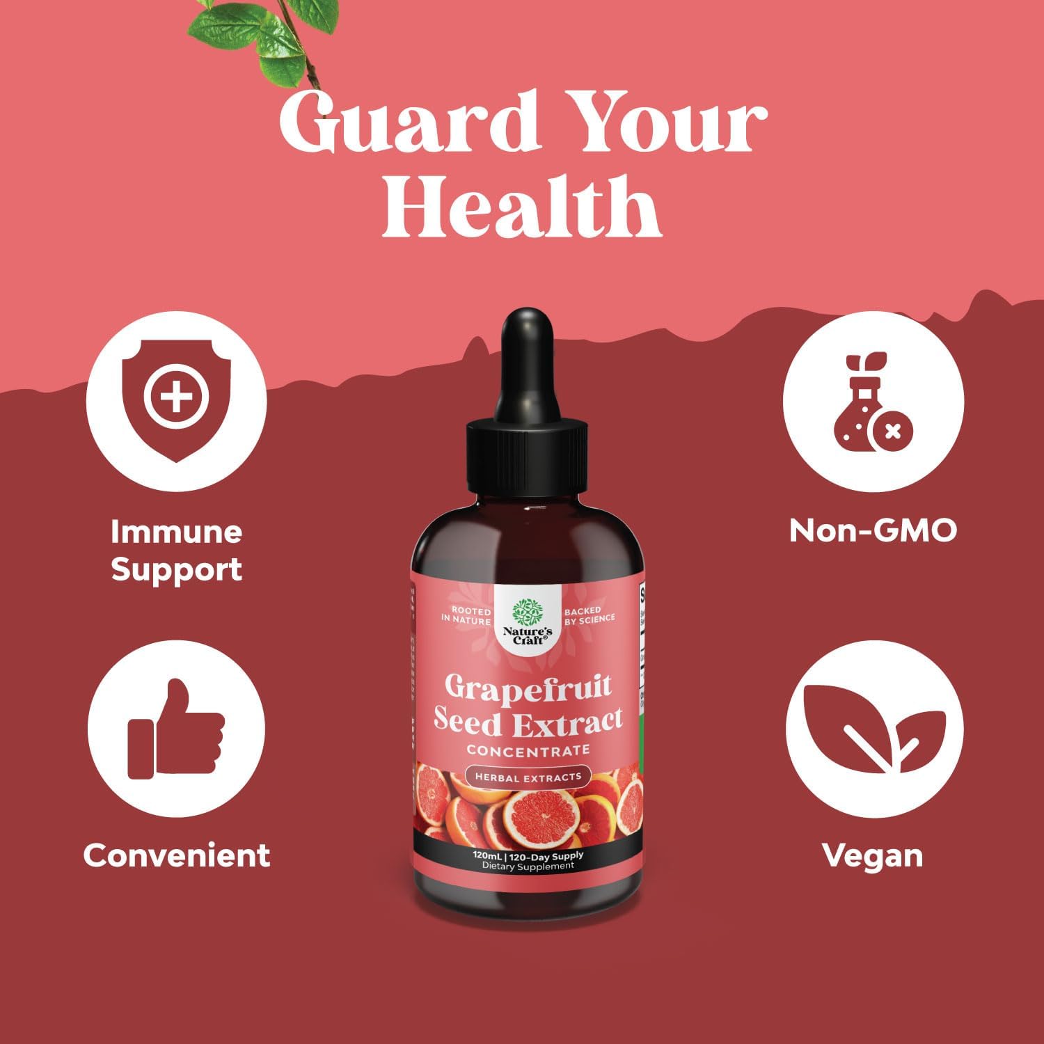 Super Concentrated GSE Grapefruit Seed Extract Liquid - Rich in Bioflavonoids & Polyphenols for Digestive Health and Immune Support - Vegan Non-GMO & Alcohol-Free - 4 Fl Oz
