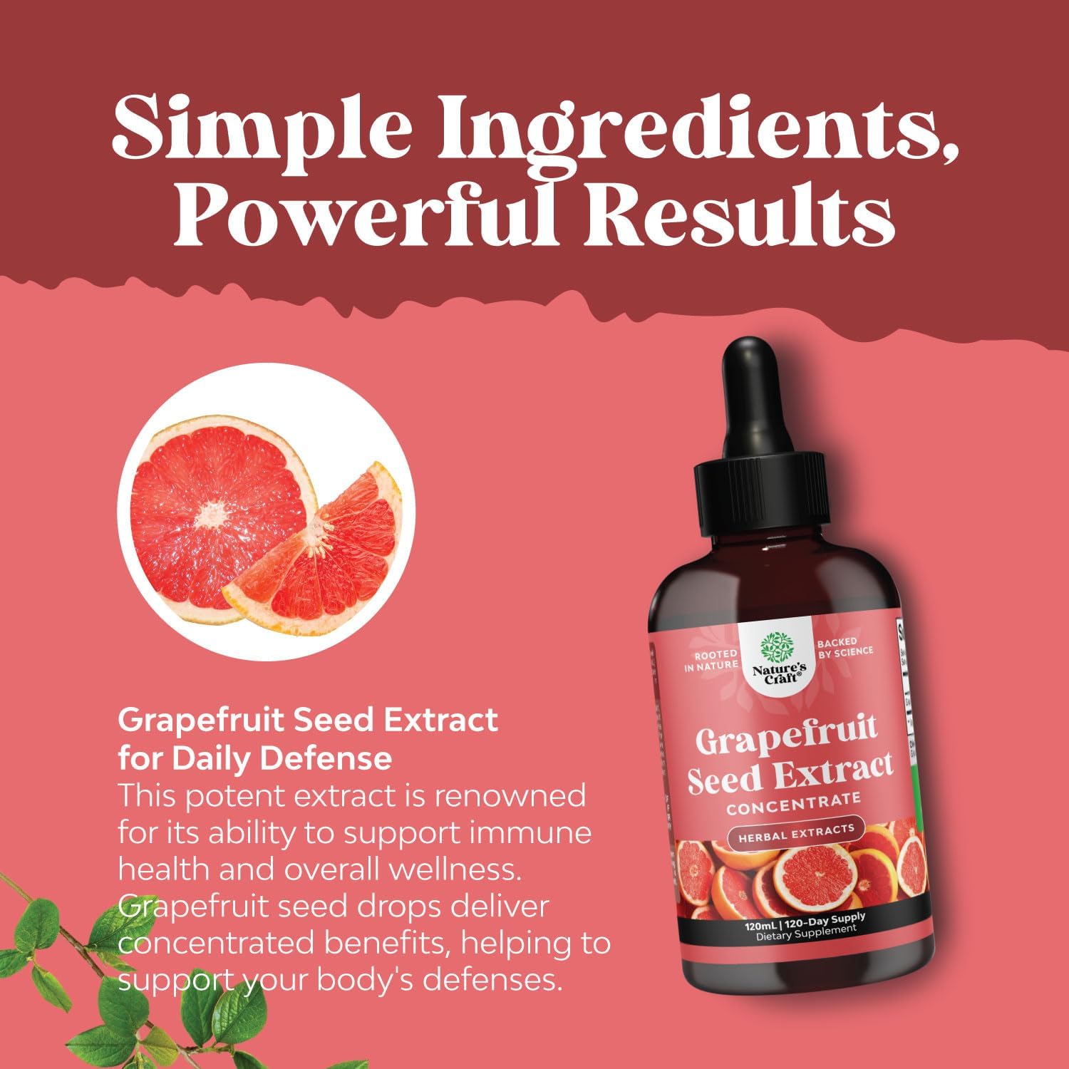 Super Concentrated GSE Grapefruit Seed Extract Liquid - Rich in Bioflavonoids & Polyphenols for Digestive Health and Immune Support - Vegan Non-GMO & Alcohol-Free - 4 Fl Oz