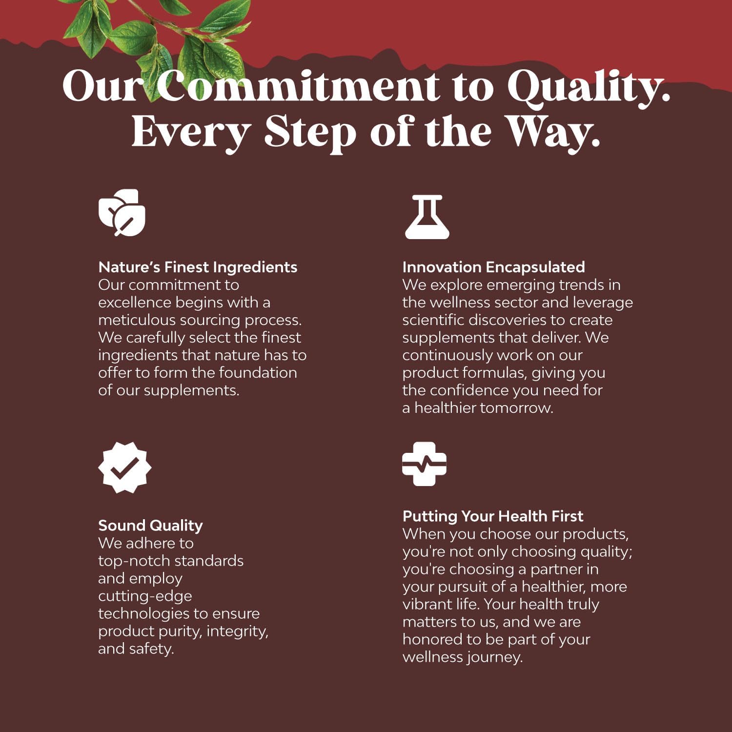 Super Concentrated Odorless Garlic Softgels with Parsley for Immune Support and Heart Health - Non GMO, Gluten Free Antioxidant Supplement