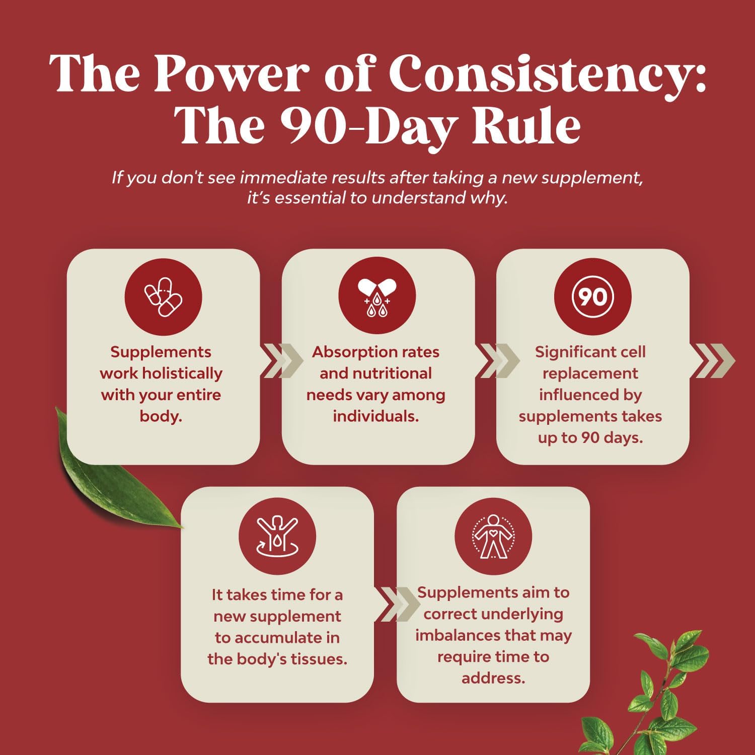 Super Concentrated Odorless Garlic Softgels with Parsley for Immune Support and Heart Health - Non GMO, Gluten Free Antioxidant Supplement