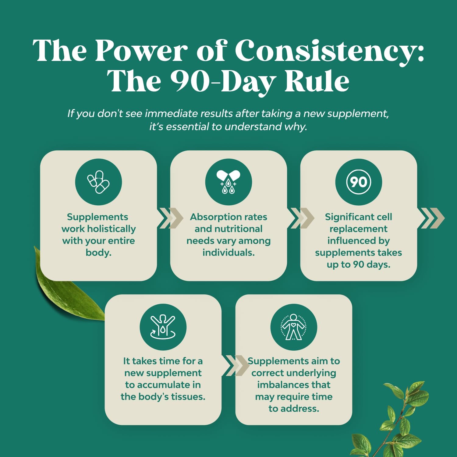 Super Concentrated Organic Oregano Oil Drops with Carvacrol 60% - Heart & Digestion Support - Immunity Booster - 30 ml Vegan Tincture