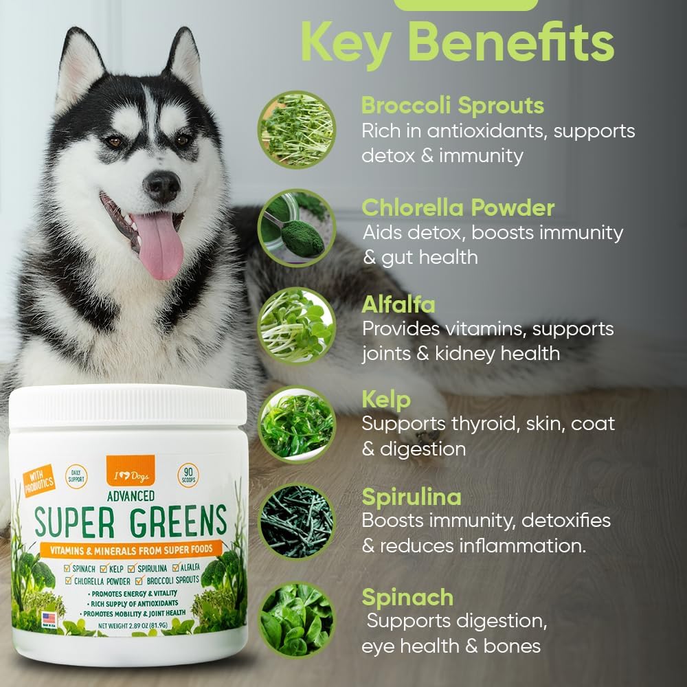Super Greens for Dogs with Broccoli Sprouts & Spirulina Powder - Boost Immune System & Fight Allergies - Nutrient-Rich Dog Supplement with Vitamins & Antioxidants