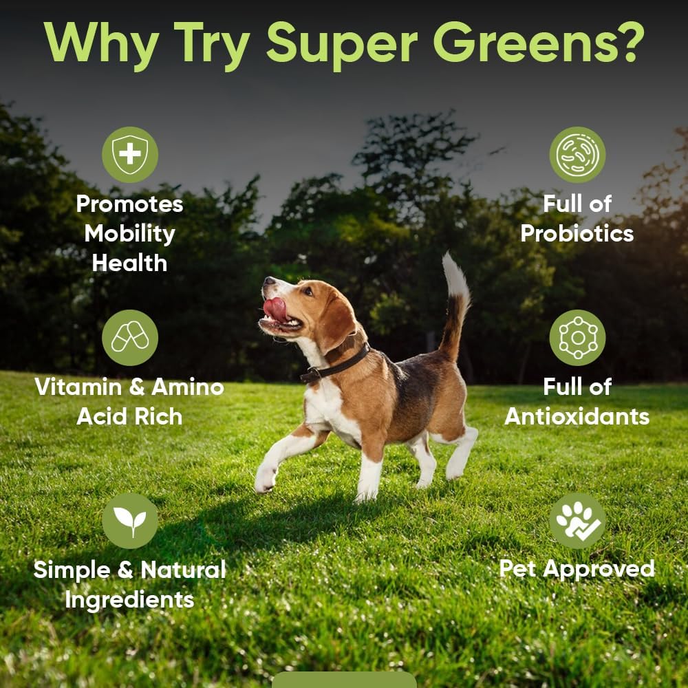 Super Greens for Dogs with Broccoli Sprouts & Spirulina Powder - Boost Immune System & Fight Allergies - Nutrient-Rich Dog Supplement with Vitamins & Antioxidants