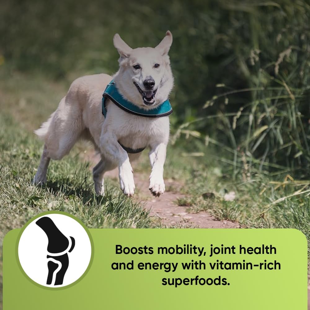 Super Greens for Dogs with Broccoli Sprouts & Spirulina Powder - Boost Immune System & Fight Allergies - Nutrient-Rich Dog Supplement with Vitamins & Antioxidants