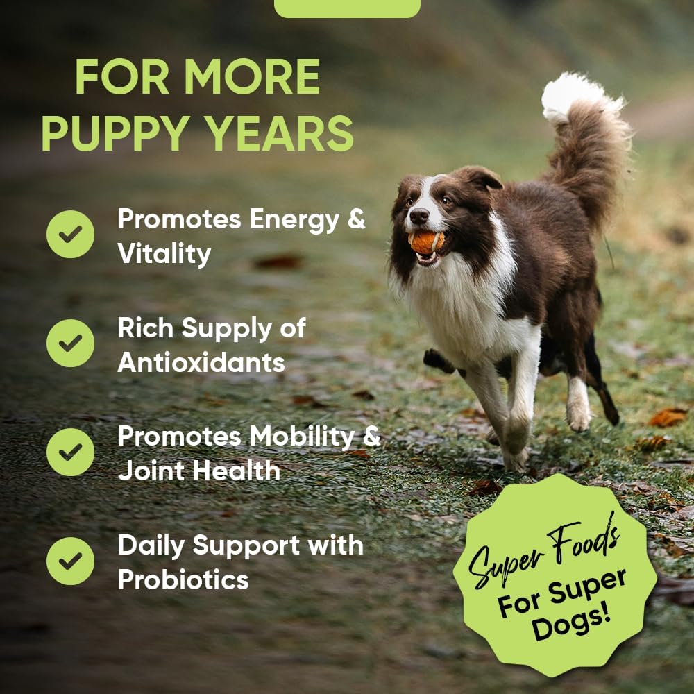 Super Greens for Dogs with Broccoli Sprouts & Spirulina Powder - Boost Immune System & Fight Allergies - Nutrient-Rich Dog Supplement with Vitamins & Antioxidants