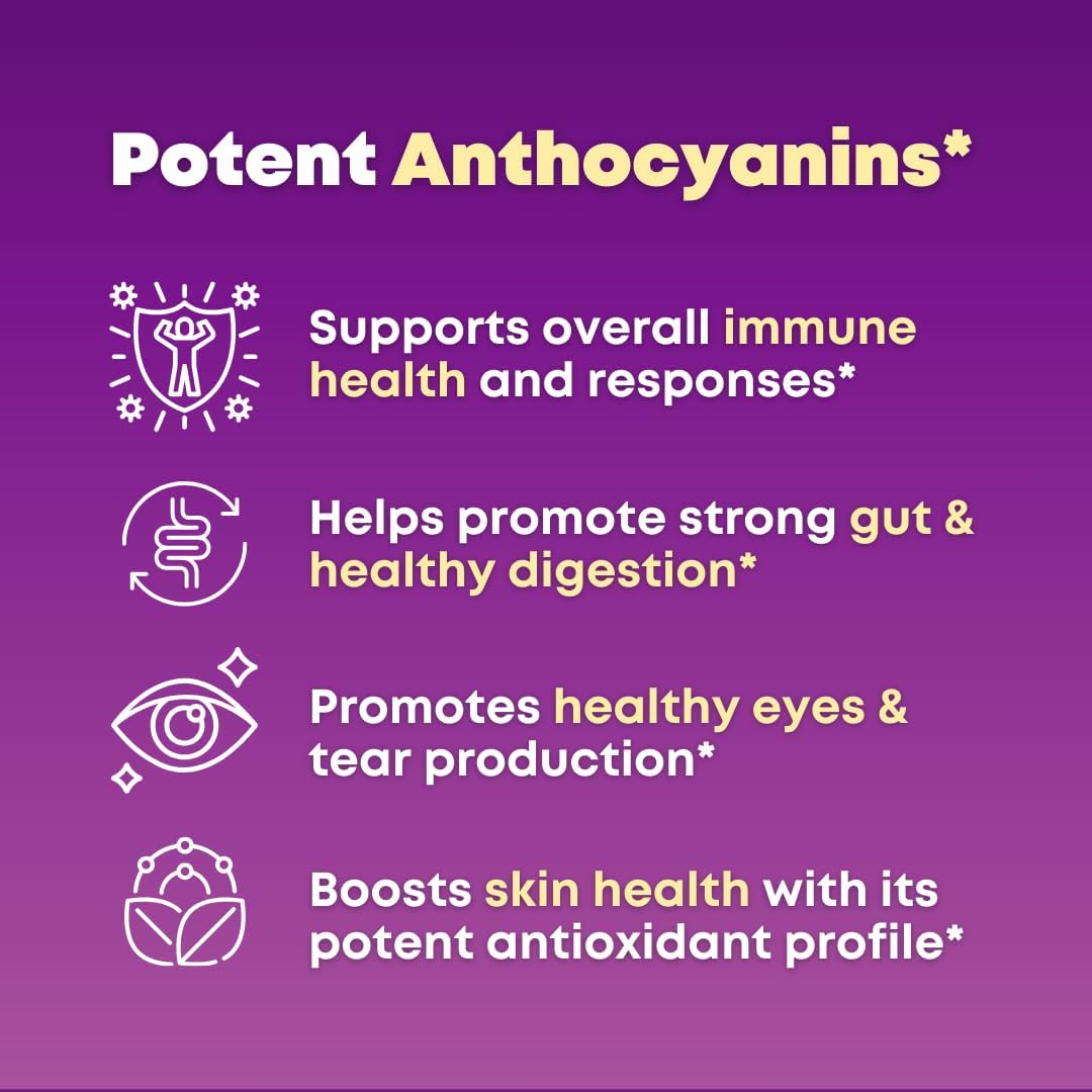 Super Maqui Berry & Greens Bundle - Gut, Immune, Skin, Wellness Support - Non GMO, Gluten Free, Vegan