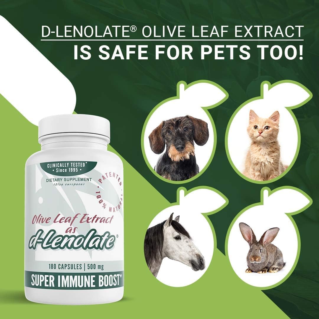 Super Strength East Park Olive Leaf Extract Capsules - 500mg d-Lenolate | 18% Oleuropein | Immune System Booster - 180 Vegetarian Capsules