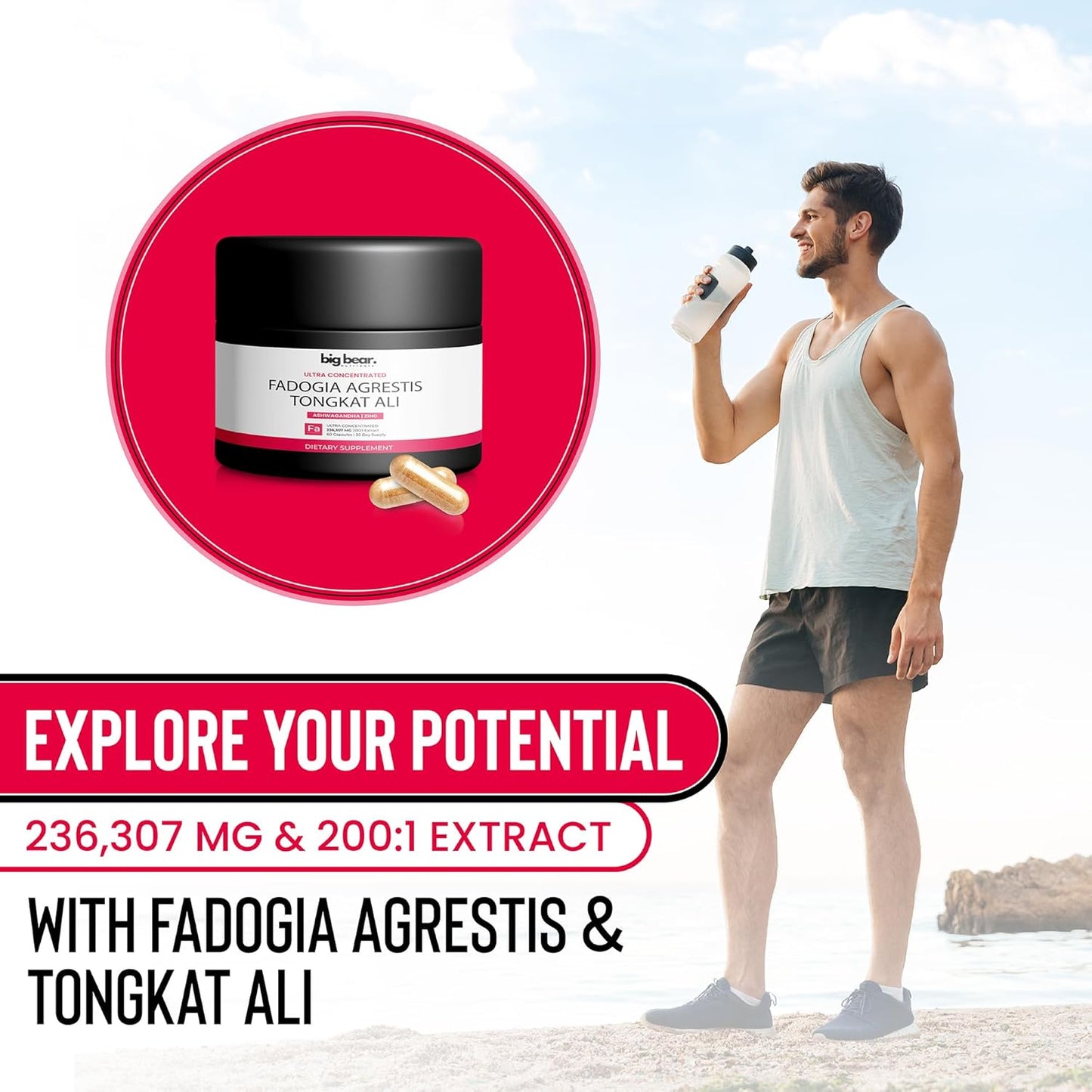 Supercharge Stamina & Muscle Health with Fadogia Agrestis & Tongkat Ali - 120 Capsules - Made in USA