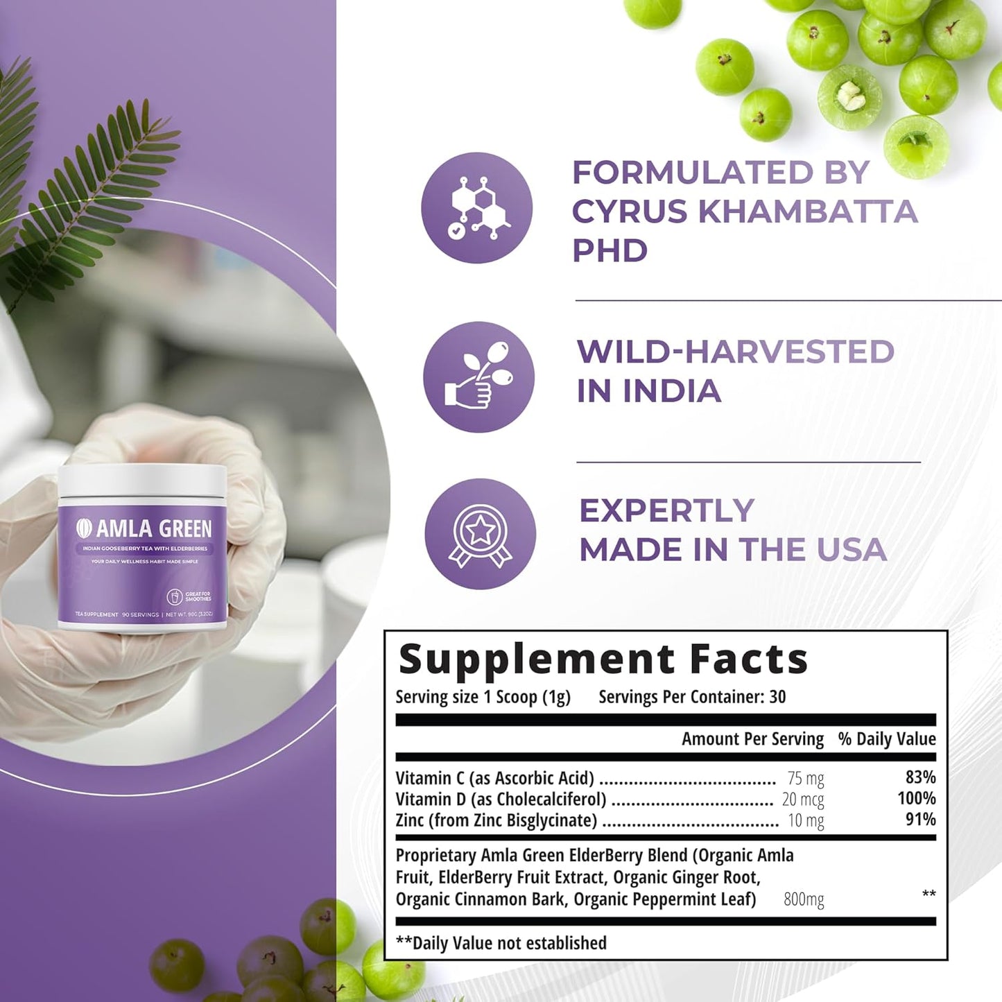 Superfood Supplement: Amla Green Amla Powder & Elderberry Immunity Blend - 20x Concentrated Amla - Immune Support with Ginger, Cinnamon, Peppermint - 30 Servings