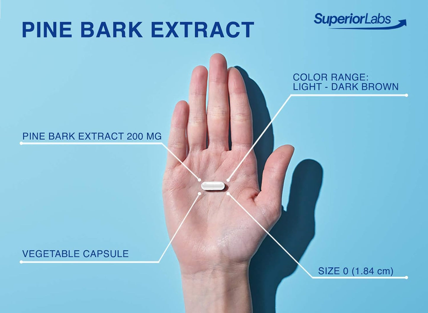 Superior Labs 200mg Pine Bark Extract Capsules - 95% OPC Antioxidant for Circulatory Health - 90 Count - Promotes Healthy Blood Flow & Skin