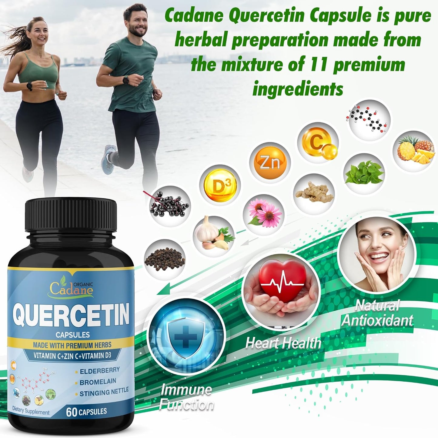 Support Immune System with Organic Cadane Quercetin Extract Capsules - 3 Packs, 60 Capsules Each - Enhanced with Elderberry, Bromelain, Ginger, Echinacea - 3 Month Supply