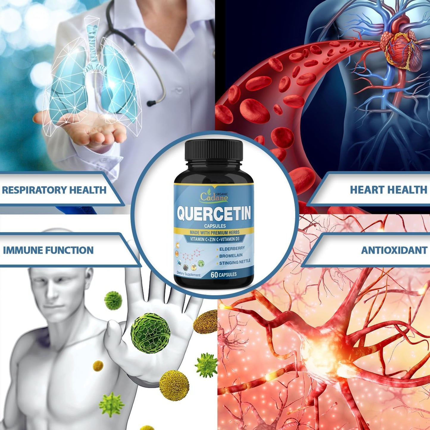 Support Immune System with Organic Cadane Quercetin Extract Capsules - 3 Packs, 60 Capsules Each - Enhanced with Elderberry, Bromelain, Ginger, Echinacea - 3 Month Supply