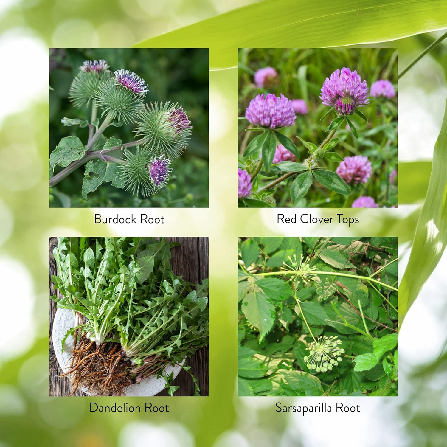 Support Intestinal, Digestive, and Liver Health with Nature's Sunshine BP-X - 100 Capsules