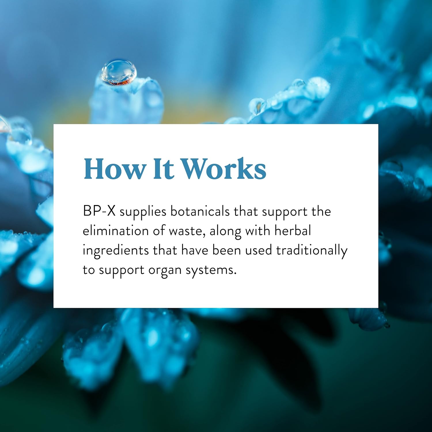 Support Intestinal, Digestive, and Liver Health with Nature's Sunshine BP-X - 100 Capsules