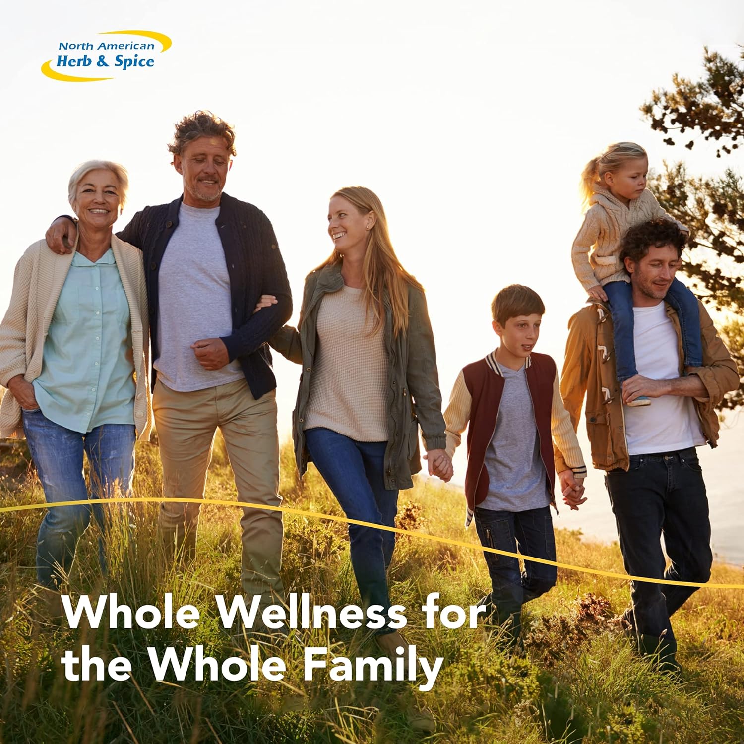 Supports Immune & Respiratory Health Softgels - Pack of 3 - North American Herb & Spice OregaResp P73 - Oreganol P73 Oregano Oil - Non-GMO - 90 Servings