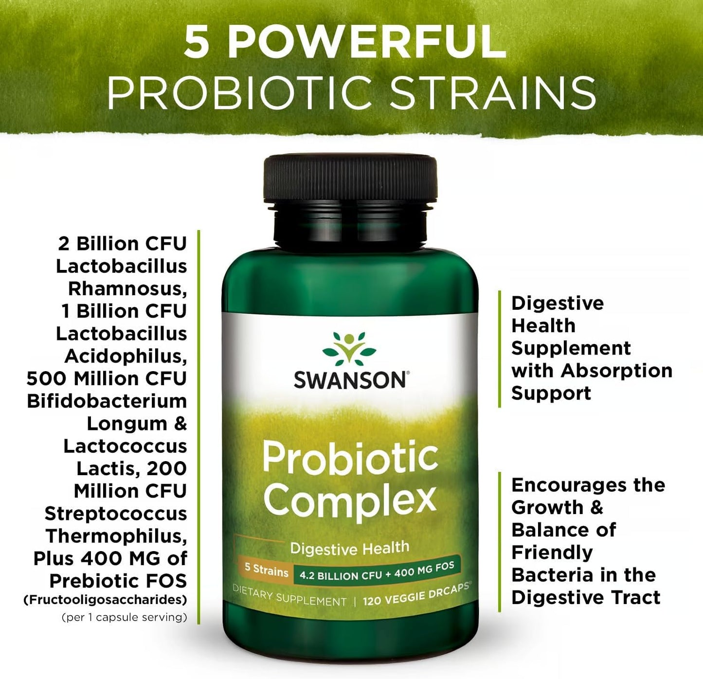 Swanson Probiotic Complex 4.2 Billion CFU 5-Strain Supplement for Digestive Health, Fat Metabolism, and Satiety - 120 Veggie DRcaps (2 Pack)