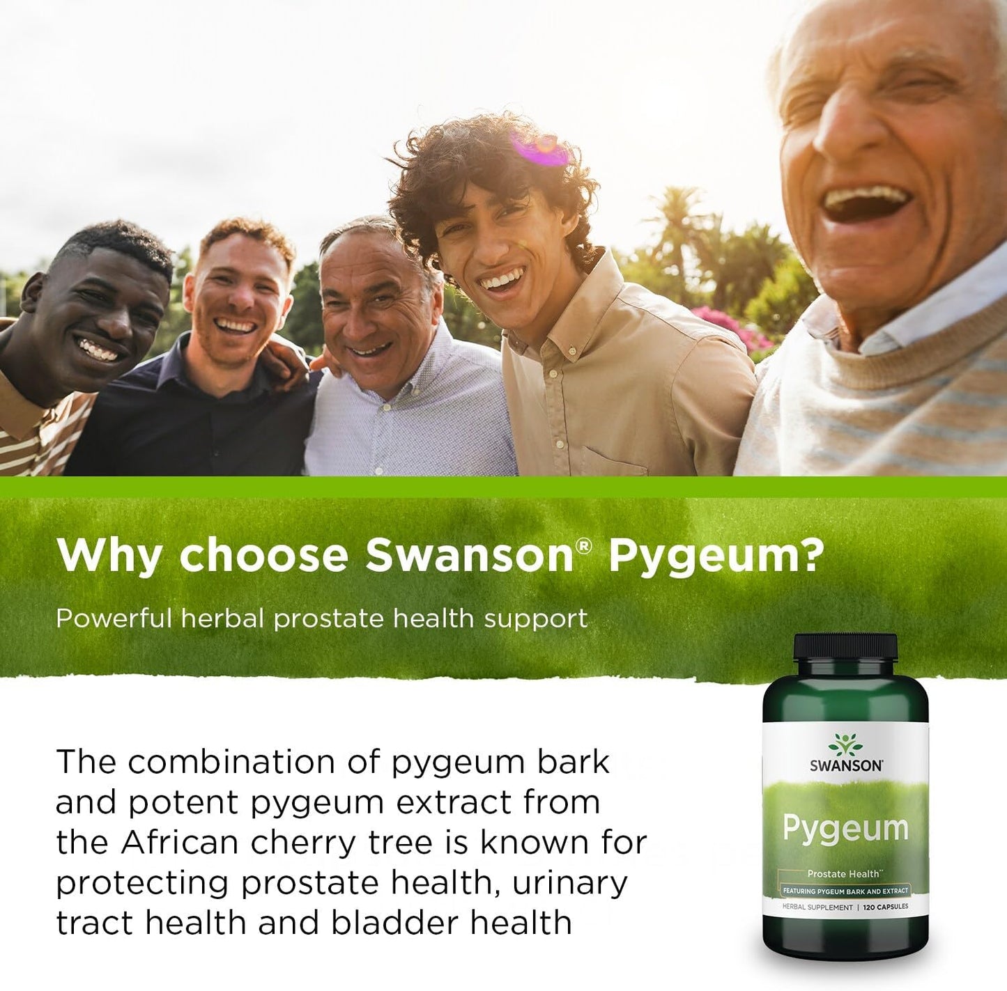 Swanson Pygeum Herbal Supplement 400mg - 120 Capsules for Prostate Health - Urinary Tract Support - 2 Pack