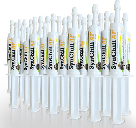 SynNutra Equine SynChill AF Calming Gel - Single Serving Pack for Nervous Horses - Advanced Formula with L-Theanine - Natural Confidence Support - 25 Pack