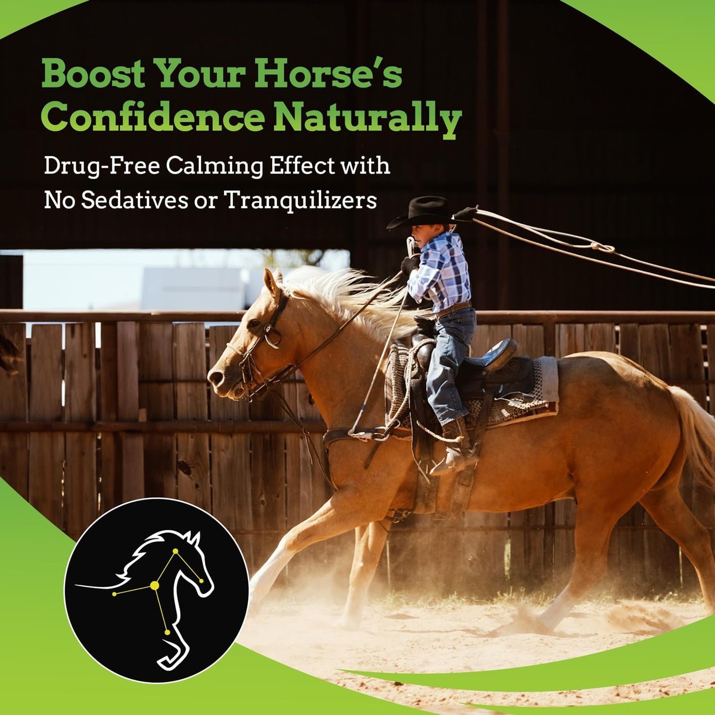 SynNutra Equine SynChill AF Calming Gel - Single Serving with L-Theanine for Nervous Horses - Advanced Formula for Confidence & Disposition - 100% Natural Supplement